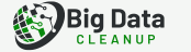 Big Data Cleanup Footer Logo