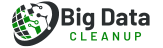 Big Data Clean Up Logo